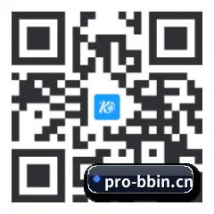 系统版 iOS 二维码
